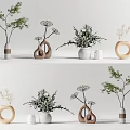 Decorative Vases With Green Plants And White Flowers For Interior Decor