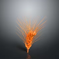 Orange Wheat Ear as Natural Food Ingredient on Gray Background