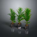 Three Green Palm Plants in Metallic Pots with Gray Background
