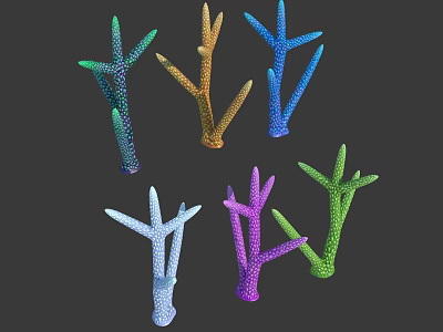 Colorful Branched Coral Polyps With Vibrant Hues And Intricate Structures 3d model