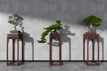 New Chinese Bonsai 3d model