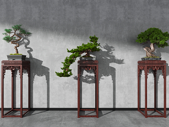 New Chinese Bonsai 3d model