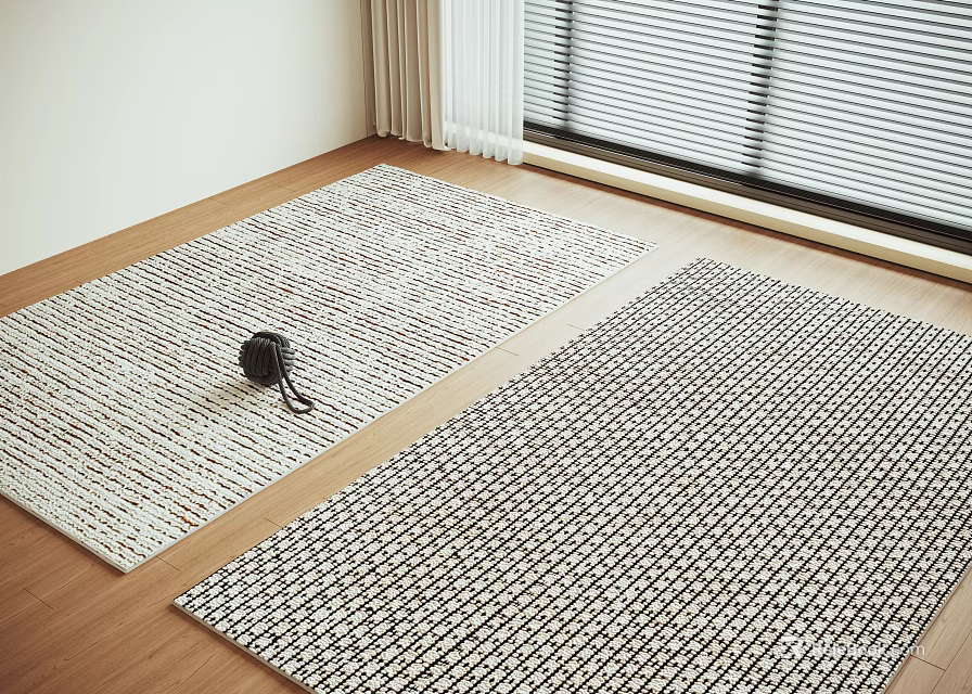 Modern Square Rugs On Wooden Floor Near Window 3d model 