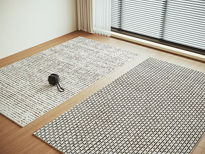 Modern Square Rugs On Wooden Floor Near Window 3d model