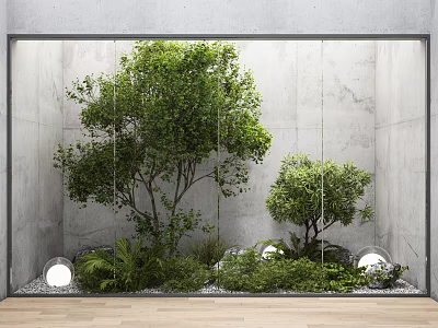 Lush Arbor Trees In Indoor Space With Concrete Walls Glass Panels And Green Plants 3d model