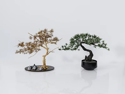 Golden And Green Bonsai Plants With Curved Branches In Black Minimalist Pots On White Background 3d model