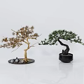Golden And Green Bonsai Plants With Curved Branches In Black Minimalist Pots On White Background