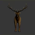 Realistic Deer Figurine With Large Antlers And Brown Fur Standing On Gray Background