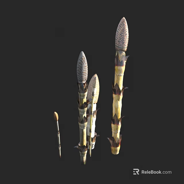 Various Height Flowering Plants with Spike Tops on Black Background 3d model 