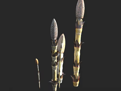 Various Height Flowering Plants with Spike Tops on Black Background 3d model