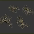 Four Leafless Trees With Thick Trunks And Slender Branches On Gray Gradient Background With Reflections