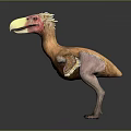 Prehistoric Bird With Large Beak Red Head Brown Body And Short Wings In Standing Posture