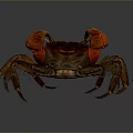 Red Clawed Aquatic Crab With Brown Shell And Extended Legs Front View