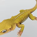 Yellow Reptile Gecko Lizard With Green Spots Large Eyes Scaled Body Curled Tail