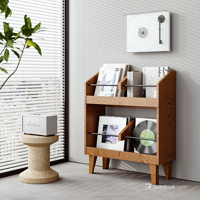 Modern Wooden Bookcase With Books Vinyl Records Photo Frame Near Leafy Plant And Window Blinds 3d model 