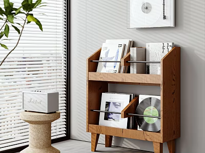 Modern Wooden Bookcase With Books Vinyl Records Photo Frame Near Leafy Plant And Window Blinds 3d model