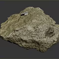 Natural Wood Textured Stone with Rough Surface and Small Tagged Label
