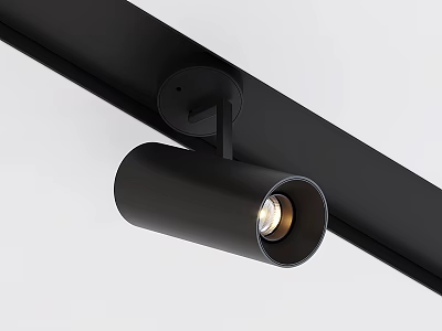 Black Track Mounted LED Spotlight With Adjustable Bright Ceiling Lighting Fixture 3d model