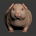 Hairless Pink Guinea Pig Game Movie Character Standing On Dark Surface With Reflection