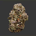 Vibrant Cannabis Bud Featuring Green Purple Orange Hues And Trichome Covered Surface