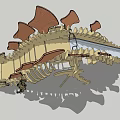 Detailed Stegosaurus Dinosaur Skeleton Model With Back Plates And Bone Structure 3d model