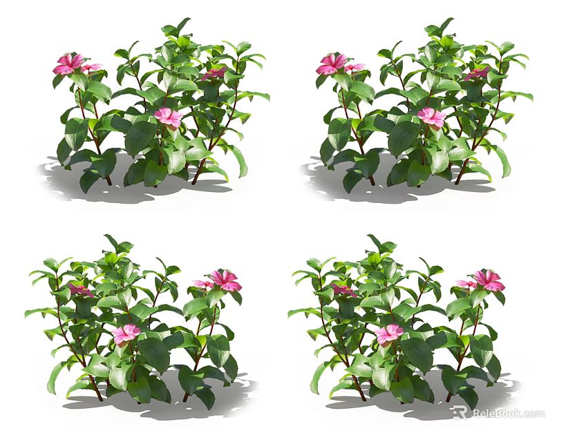 Lush Green Leafy Bushes With Pink Flowers Multiple Branches And Fresh Foliage 3d model 
