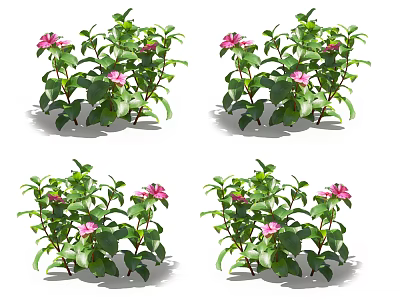 Lush Green Leafy Bushes With Pink Flowers Multiple Branches And Fresh Foliage 3d model