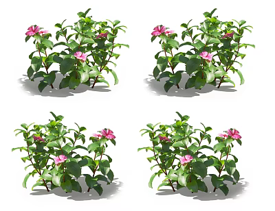 Lush Green Leafy Bushes With Pink Flowers Multiple Branches And Fresh Foliage 3d model