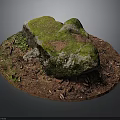 Natural Stone With Green Moss And Wood Chips On Brown Soil Surface