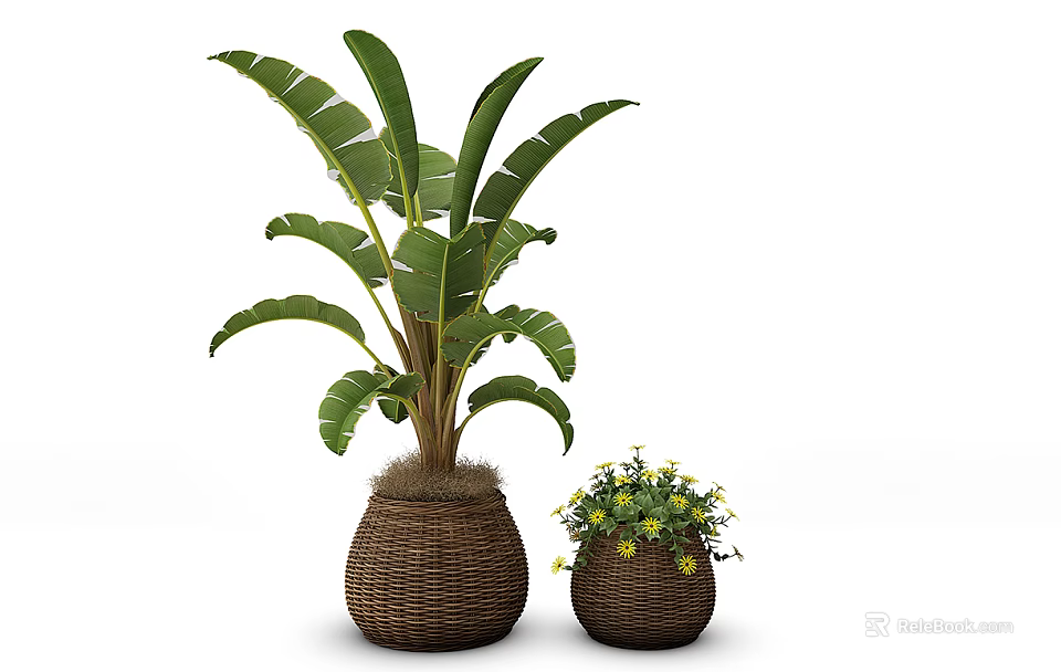 Large and Small Potted Plants with Green Leaves and Yellow Flowers in Woven Rattan Pots 3d model 