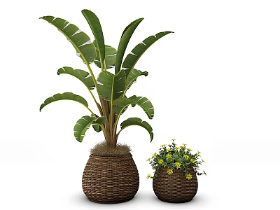 Large and Small Potted Plants with Green Leaves and Yellow Flowers in Woven Rattan Pots 3d model