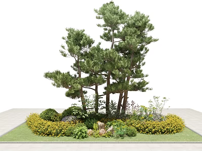 Modern Pine Outdoor Plant Greening Landscape 3d model