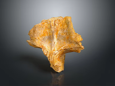 Yellow Irregular Shaped Stone With Textured Surface And Reflection On Dark Background 3d model