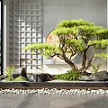 Modern courtyard sketch interior landscape landscape water bowl water landscape stone plant landscape plant pile 3d model