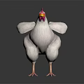 White Chicken With Red Comb And Yellow Beak Standing On Dark Background