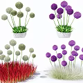 Decorative Garden Plants Featuring White Purple Spherical Flowers And Red Green Grass In White Pots