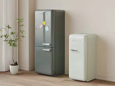 Modern Home Interior With Gray Refrigerator White Freezer Potted Plant Curtain And Wooden Floor 3d model