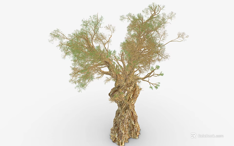 Unique Tree with Twisted Trunk and Green Foliage in Natural Environment 3d model 
