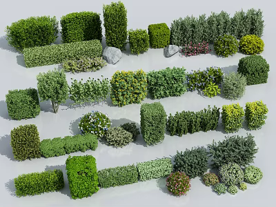 Various Shaped Shrubs in Different Sizes and Green Hues for Landscape Design 3d model