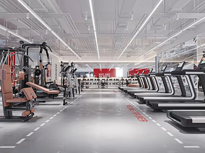 Spacious Modern Gym Interior With Treadmills Strength Training Machines And Bright Lighting 3d model