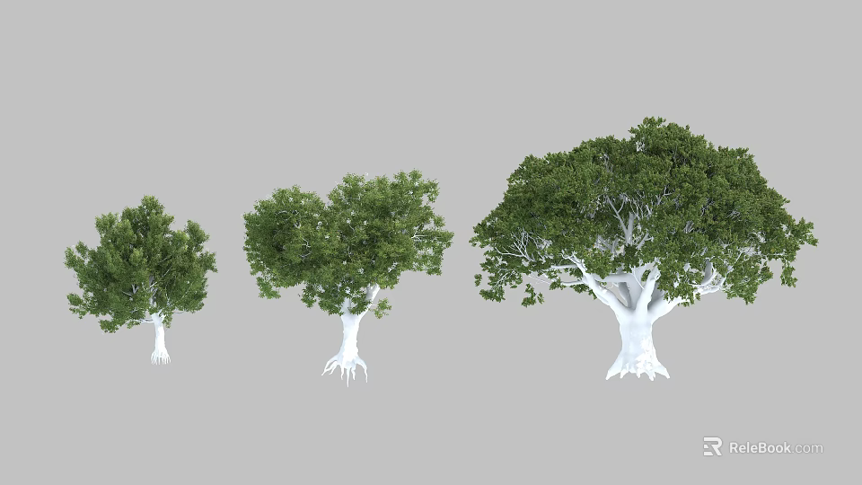 Three Arbor Trees In Various Sizes With Green Foliage And White Trunks 3d model