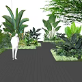 Diverse Flowers And Green Plants In Lush Garden With Trees Along Pathway