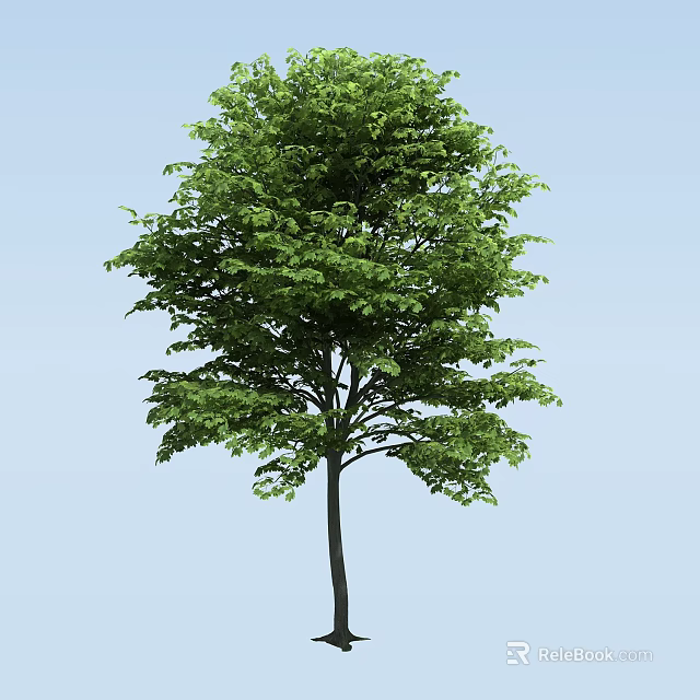 Lush Green Arbor With Dense Foliage And Straight Trunk Against Blue Sky 3d model 