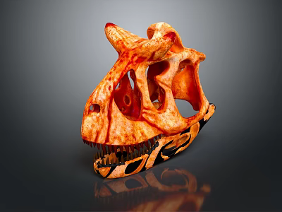 3D Printed Medical Device Anatomical Skull Model For Medical Education And Surgical Planning 3d model
