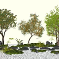 Shrub Fruit Tree Apple Tree Orange Tree Pomegranate Tree 3d model