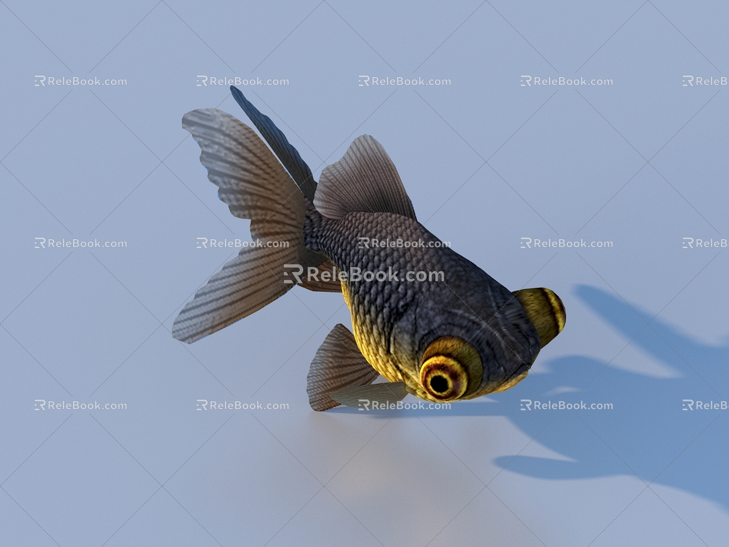 goldfish ornamental fish pet fish koi carp 3d model