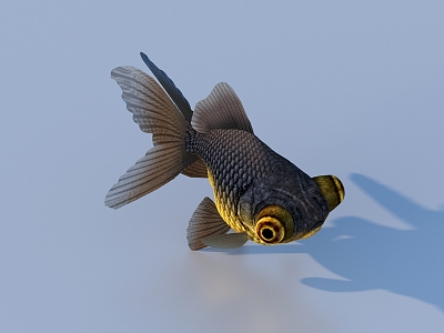 goldfish ornamental fish pet fish koi carp 3d model