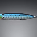 Assorted Colored Fishing Lures With Various Shapes And Unique Patterns