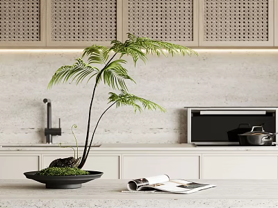 Decorative Bonsai Plant On Modern Kitchen Countertop With Perforated Cabinets And Open Magazine 3d model