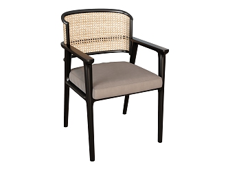 Dining Chair Leisure Chair Armchair Backrest Chair Rattan Chair 3d model